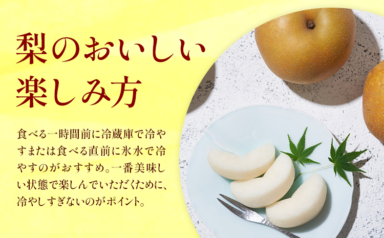梨 秀品 秋月梨 約10kg（10～24玉） 日本フルーツ《8月下旬-9月末頃出荷》熊本県 長洲町 なし 梨 果物 フルーツ デザート ギフト ご贈答---sn_cnfakn_cf89_25_27500_10kg---