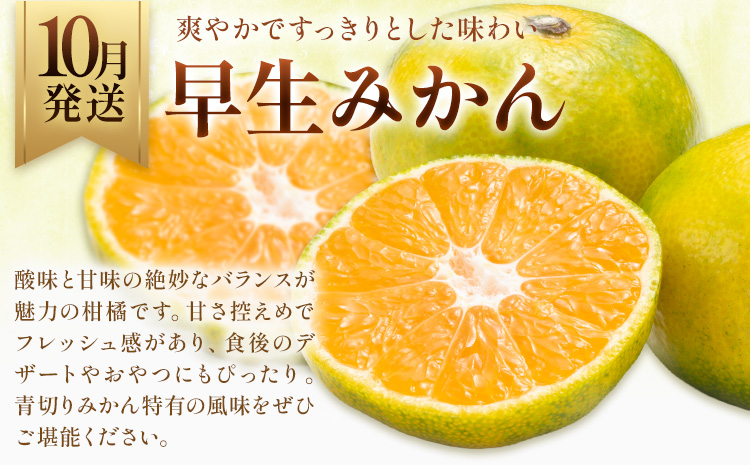 旬の フルーツ 定期便 2ヶ月連続 秀品 計5kg 日本フルーツ株式会社《2025年9月上旬-10月末頃出荷》熊本県 長洲町 おまかせ 梨 早生みかん 果物 フルーツ スイーツ デザート ギフト ご贈答---sn_nfustei_18000_mini_aug2---