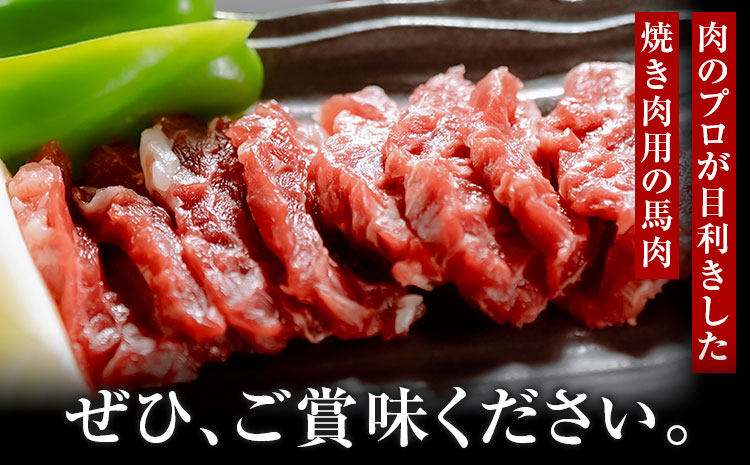 馬肉焼肉用 500g カット済 長洲町L（桜屋）《60日以内に出荷予定(土日祝除く)》熊本県 長洲町 送料無料 肉 馬肉 焼肉---sn_fskbnyk_60d_25_18500_500g---
