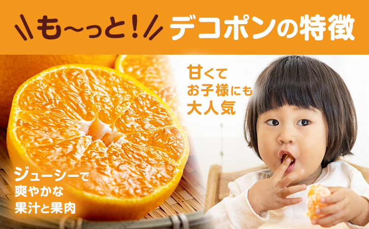 デコポン 約5kg 日本フルーツ株式会社 熊本県 長洲町 《2026年1月下旬-2月末頃出荷予定》 熊本県 長洲町 送料無料 デコポン 果物 秀品---sn_nfdk_cf1_25_24000_5kg---