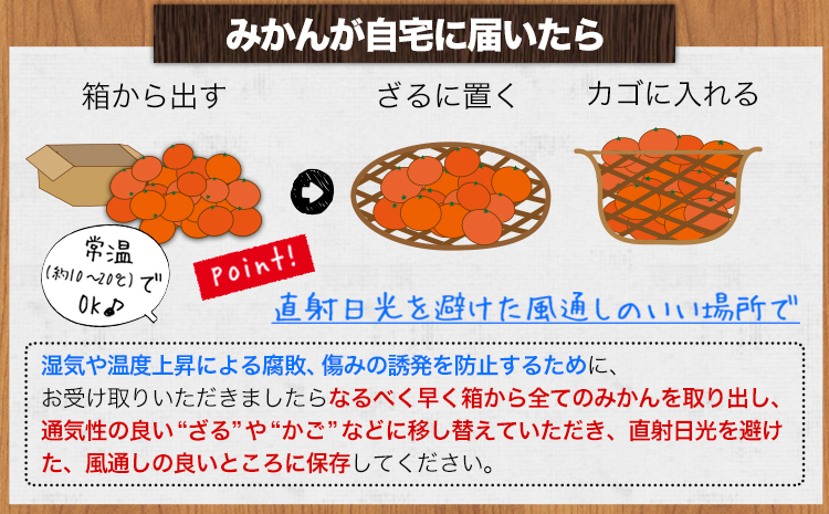 温州みかん 約5kg 日本フルーツ株式会社 熊本県 長洲町 《10月中旬-2月下旬頃出荷予定（土日祝除く）》 デコポン 果物 秀品 フルーツ スイーツ デザート ギフト ご贈答---sn_nfum_k102_25_9500_5kg---