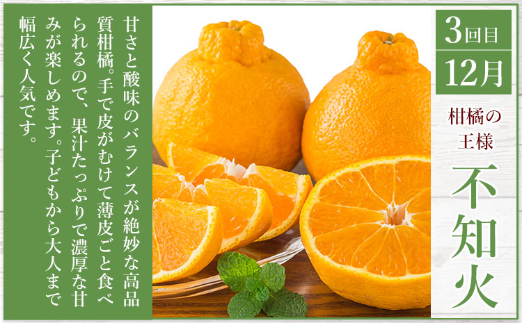 秀品 みかん 3ヶ月定期便 【ミニ：計8kg】 日本フルーツ株式会社《2025年10月上旬-12月末頃出荷》熊本県 長洲町 早生みかん 温州みかん 不知火 果物 フルーツ スイーツ デザート ギフト ご贈答---sn_nfuktei_24000_mini_aug3---