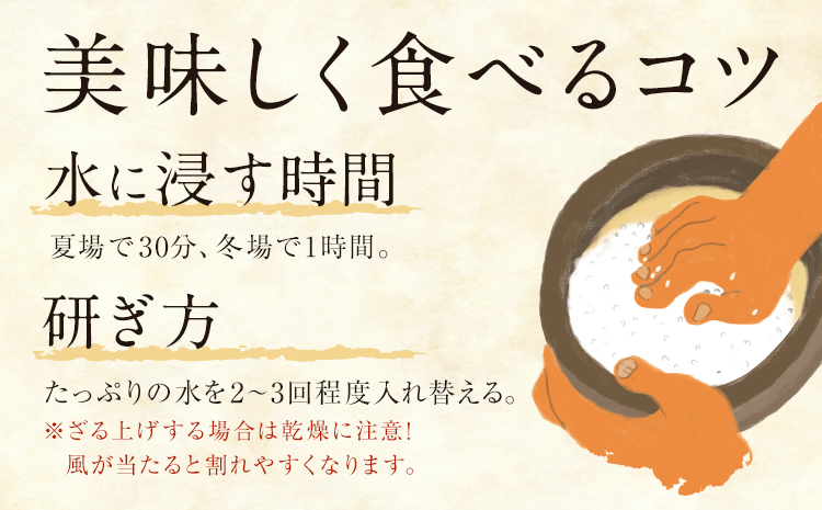 令和7年産 米 三度のときめき 10kg くまもと食彩の力《60日以内に出荷予定(土日祝除く)》熊本県 長洲町 お米 ひのひかり ヒノヒカリ こめ コメ---sn_kmst_60d_r7_28000_10kg---