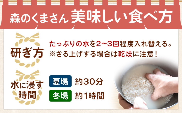 令和7年産 米 森のくまさん 10kg くまもと食彩の力《60日以内に出荷予定(土日祝除く)》熊本県 長洲町 お米 こめ コメ---sn_kmmk_60d_r7_28000_10kg---