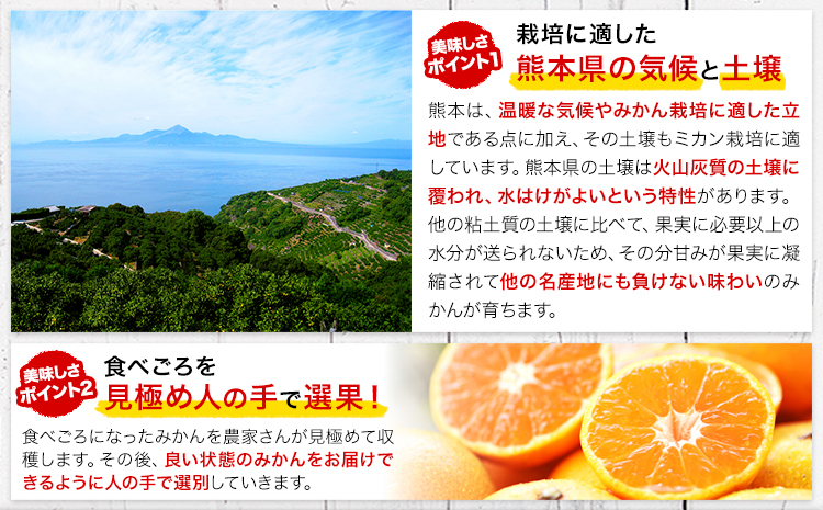 みかん 訳あり くまもとみかん 約9kg S-2Lサイズ サイズ混合 ご家庭用《7-14日以内に出荷予定(土日祝除く)》 訳あり みかん フルーツ サイズ混合 秋 旬 柑橘 熊本県 長洲町 熊本県産 長洲町産含む---ng_wkmkn_wx_13500_9kg---