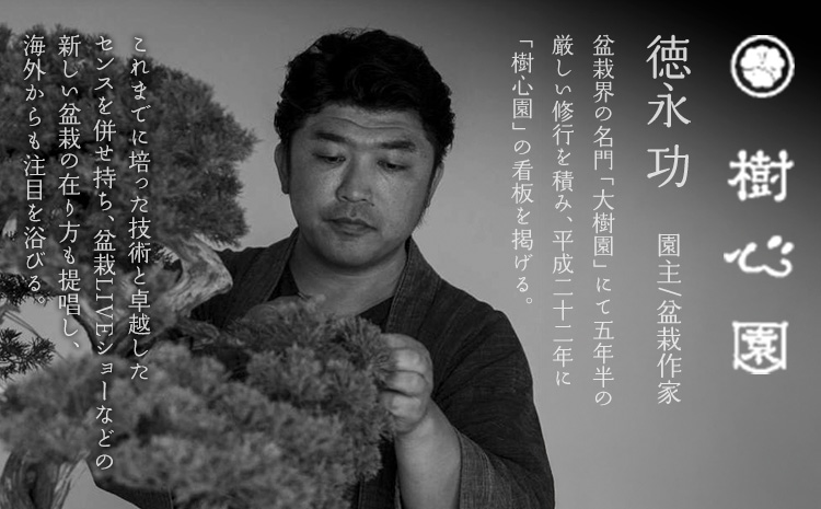 樹心園 五葉松 盆栽《30日以内に出荷予定(土日祝除く)》ごようまつ 盆栽作家 徳永功---sn_kgkrgoym_30d_r7_60000_1p---