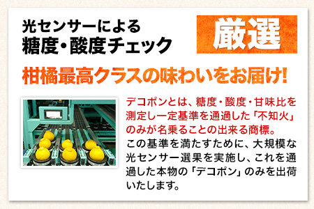 ご家庭用 デコポン デコポン約5kg前後(約12-24玉前後)《2026年2月上旬-4月末頃出荷》不知火 ---ng_deko_af24_r7_15000_5kg---