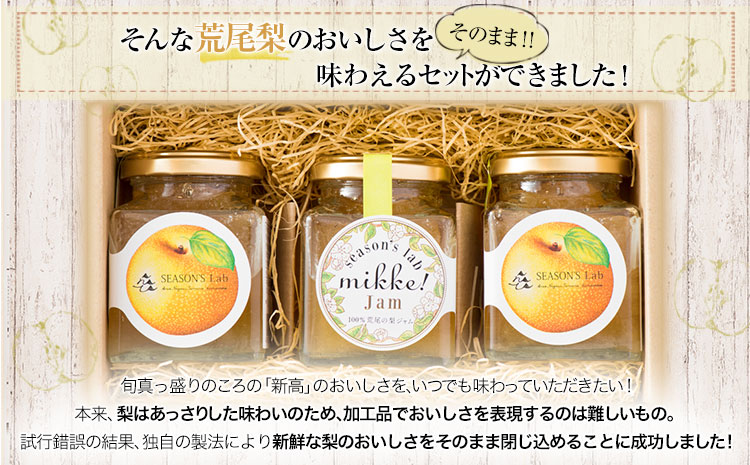 熊本県産梨 梨ジャム3個セット あなた本舗《30日以内に出荷予定(土日祝除く)》---sn_anatajam_30d_r7_12500_540g---