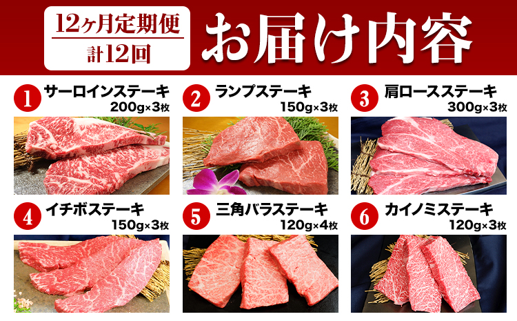 【12ヶ月定期便】あか牛 ステーキ 12種 肉 極上 食べ比べ 牛肉 サーロイン ロース《お申込み月の翌月から出荷開始》三協畜産---sn_fsa12tei_r7_500000_mo12num1---