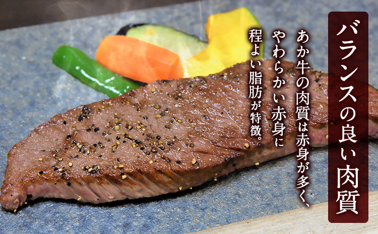 2種のステーキ＆ハンバーグセット 1kg超 牛肉 ハンバーグ ステーキ 《60日以内に出荷予定(土日祝除く)》---sn_fsankhbset_60d_r7_50000_1570g---st-p