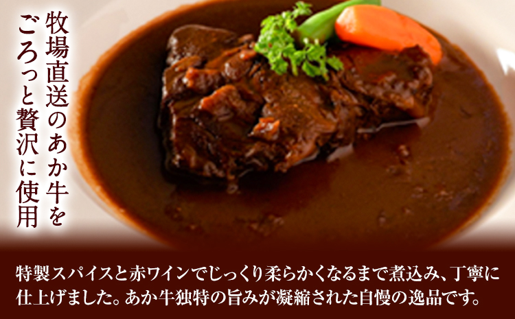 国産和牛 あか牛 極2人前 250g × 2 あかうし 三協畜産 《60日以内に出荷予定(土日祝除く)》   熊本和牛 ---sn_skabfstu_r7_60d_15500_2p---st-p