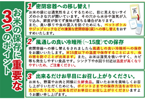 令和3年産 ひのひかり 無洗米 12kg 6kg×2袋 熊本県産 白米 精米米《3-7営業日以内に出荷予定(土日祝除く)》---ng_hn3_u_22_10000_m12kg---st-p