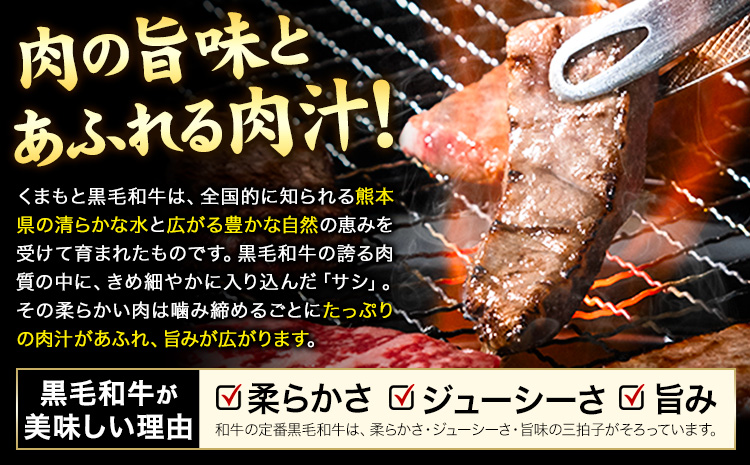牛肉 A4～A5等級 黒毛和牛 切り落とし くまもと黒毛和牛 上 ロース 焼肉切り落とし 300g 《30日以内に出荷予定(土日祝除く)》熊本県 長洲町 上ロース 焼肉用 焼肉 肉 お肉 和牛 A5 A4 300g 小分け リブロース サーロイン---ng_fzyoursyk_30d_r7_10000_300g---