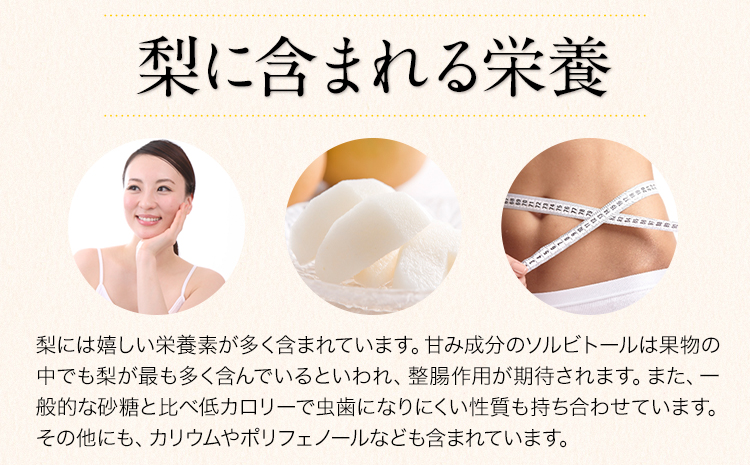 ＜2026年先行予約＞ 梨 くまもと梨 秋 旬 なし 幸水 豊水 先行 果物 くだもの フルーツ 送料無料 あきづき 甘太 新高 新興 約4.5～5kg(8玉～22玉前後) 熊本県産【着日指定不可】《8月下旬-11月中旬頃出荷》旬 果物 お取り寄せ ナシ---fn_cngsnasi_h811_r8_13500_5kg---