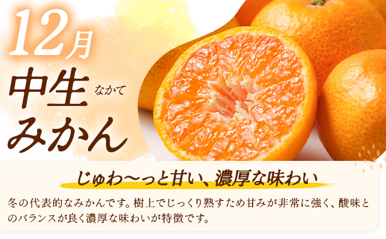 【3ヶ月定期便】みかん 定期便 秀品 温州みかん ミニ 計9kg 日本フルーツ株式会社《10月上旬-12月末頃出荷》熊本県 長洲町 ミカン 蜜柑 柑橘類 極早生 早生 中生 果物 フルーツ---sn_nfumtei_23000_mini_oct3---