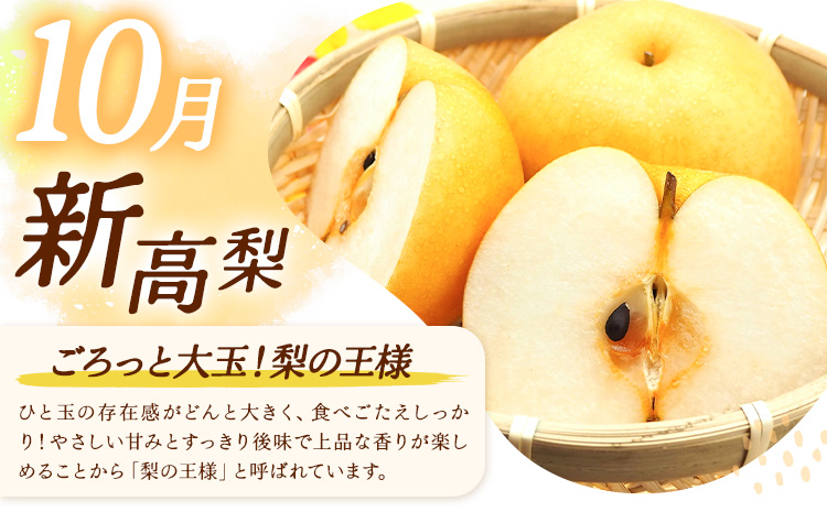 【3ヶ月定期便】梨 定期便 秀品 3ヶ月連続 梨の定期便 スペシャル 計15kg 日本フルーツ株式会社《8月上旬-10月末頃出荷》熊本県 長洲町 なし ナシ 豊水梨 秋月梨 新高梨 果物 フルーツ---sn_cnfzntei_49000_special_aug3---