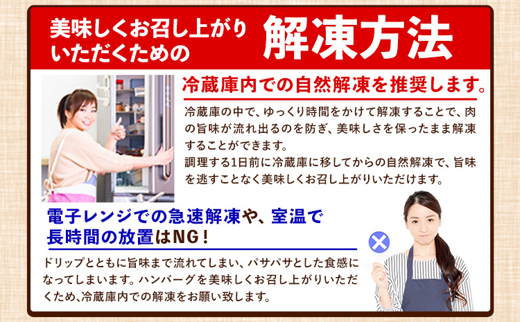 ステーキマニア監修 熊本県産 あか牛 100% 生ハンバーグ 140g× 26個 2セット 《30日以内に出荷予定(土日祝除く)》熊本県産あか牛 冷凍 ハンバーグ---ng_faknhamb_30d_24_24000_3640g---st-p
