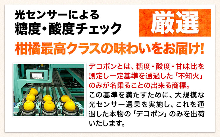 ご家庭用 デコポン デコポン約2.5kg前後(約6-12玉前後)《2026年2月上旬-4月末頃出荷》不知火 熊本県産 熊本県 長洲町 糖度13度以上---ng_deko_af24_r7_8000_2500g----