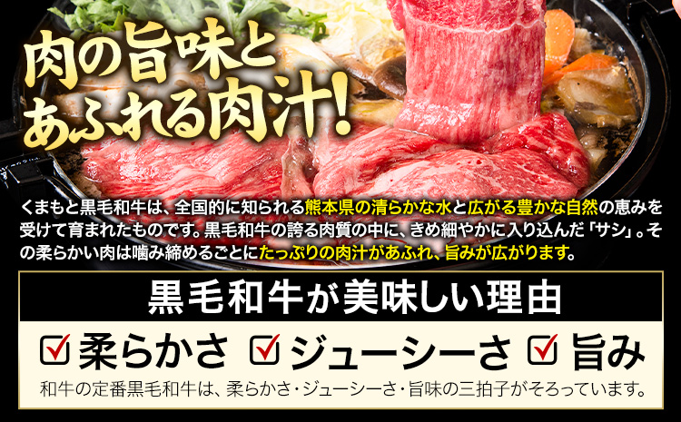 くまもと黒毛和牛 ウデ・モモスライス 500g 牛肉 冷凍 《1月上旬-1月末頃出荷予定》 くまもと黒毛和牛 黒毛和牛 冷凍庫 個別 取分け 小分け 個包装 モモ スライス 肉 お肉 しゃぶしゃぶ肉 すきやき肉 すき焼き---ng_fudmm_ac1_24_11000_500g---st-p