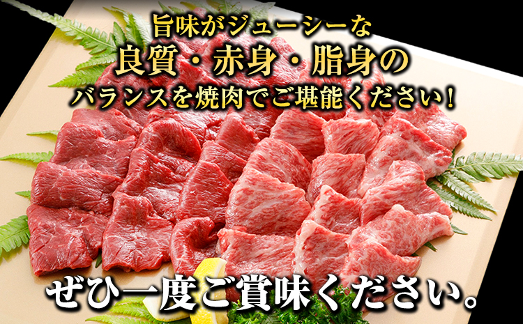 牛肉 くまもと黒毛和牛 焼肉用 1000g 肉 黒毛和牛 焼肉 長洲町L（桜屋）《30日以内に出荷予定(土日祝除く)》---sn_f501kwyk_30d_r7_30000_1000g---st-p