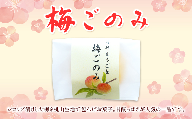 お菓子 和菓子詰め合わせ 10個 お菓子のよね村《30日以内に出荷予定(土日祝除く)》熊本県 長洲町 梅ごのみ 的ばかい 金魚もなか 送料無料---sn_yonetm_30d_r7_10000_10p---st-p