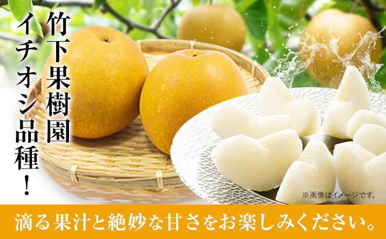 梨 甘太梨 和梨 なし フルーツ 果物 旬 秋 約3.5~ 4kg 長洲町産 竹下果樹園《9月上旬-9月下旬頃出荷》熊本県 長洲町 果物 なし かんた---sn_ctkknt_ab9_24_13000_4kg---st-p