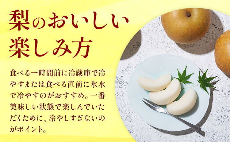 【2026年先行予約】おまかせ梨 秀品 約5kg 日本フルーツ《8月上旬-10月上旬頃出荷》熊本県 長洲町 なし 梨 果物 フルーツ デザート ギフト ご贈答---sn_cnfomn_ad810_r8_16500_5kg---