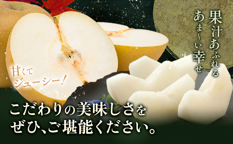 梨 秀品 秋月梨 約10kg（10～24玉） 日本フルーツ《8月下旬-9月末頃出荷》熊本県 長洲町 なし 梨 果物 フルーツ デザート ギフト ご贈答---sn_cnfakn_cf89_25_27500_10kg---