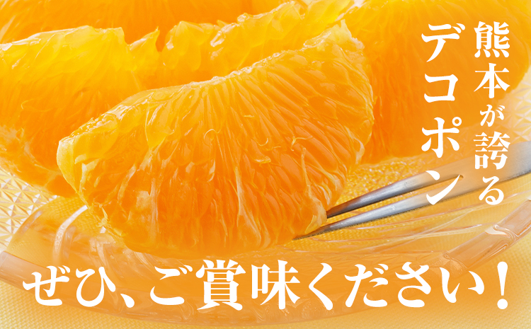 デコポン 約3kg 日本フルーツ株式会社 熊本県 長洲町 《2026年1月下旬-2月末頃出荷予定》 熊本県 長洲町 送料無料 デコポン 果物 秀品---sn_nfdk_cf1_25_17000_3kg---