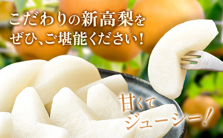 【2026年先行予約】 新高梨 約 1.8kg（4～7玉） 日本フルーツ株式会社《9月上旬-10月上旬頃出荷》熊本県 長洲町 ジャンボ梨 新高梨 梨 果物 フルーツ スイーツ デザート ギフト ご贈答---sn_nfntn_ad9_r8_10500_1800g---