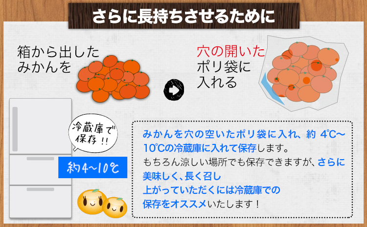 温州みかん 約3kg 日本フルーツ株式会社 熊本県 長洲町 《10月中旬-2月下旬頃出荷予定（土日祝除く）》 デコポン 果物 秀品 フルーツ スイーツ デザート ギフト ご贈答---sn_nfum_k102_25_7500_3kg---
