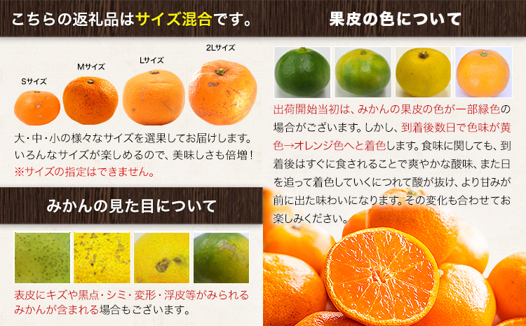 みかん 訳あり くまもとみかん 約9kg S-2Lサイズ サイズ混合 ご家庭用《7-14日以内に出荷予定(土日祝除く)》 訳あり みかん フルーツ サイズ混合 秋 旬 柑橘 熊本県 長洲町 熊本県産 長洲町産含む---ng_wkmkn_wx_13500_9kg---