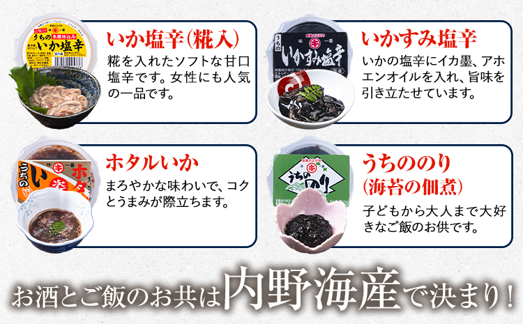 内野海産の海の幸セット 10個入り 《45日以内に出荷予定(土日祝除く)》あみ漬 いか 海苔 佃煮 塩辛 いかすみ---sn_cuchisaci10_45d_r7_11000_400g---