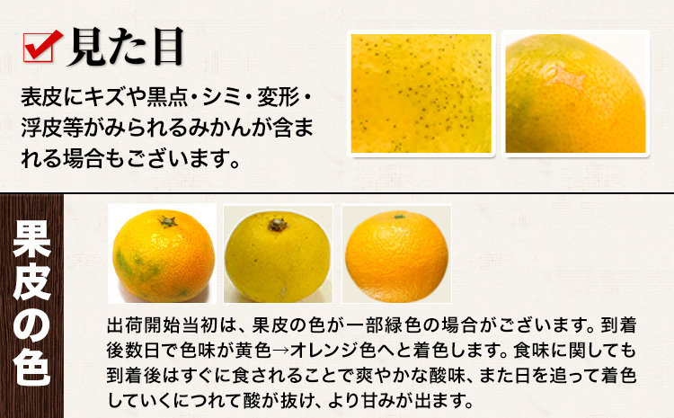 【年内発送】訳あり みかん くまもと小玉みかん 5kg (2.5kg×2箱)  フルーツ 柑橘 小玉 《1-5日以内に出荷予定(土日祝除く)》---fn_nkomkn_s_r7_9500_5kg---