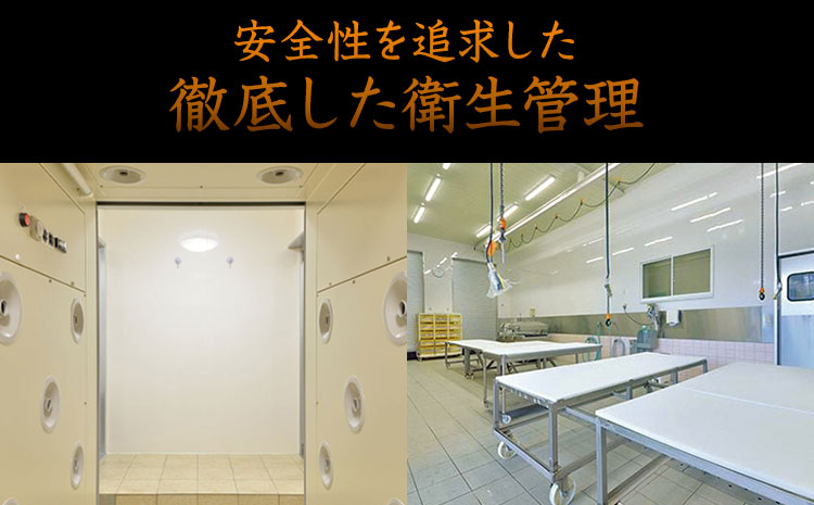 馬肉ユッケ300g(60g×5セット)【純国産熊本肥育】《30日以内に出荷予定(土日祝除く)》---ng_fnhyjs06_30d_r7_11000_300g---st-p
