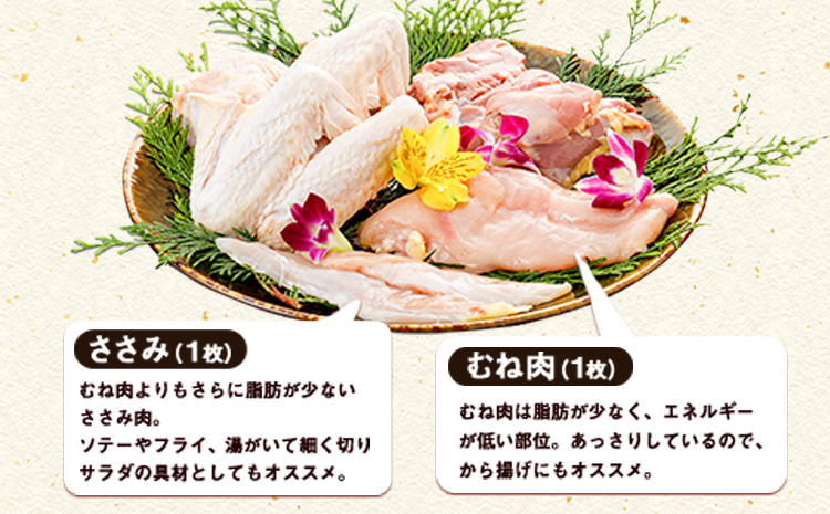 熊本県産 天草大王セット《60日以内に出荷予定(土日祝除く)》 もも肉 むね肉 ささみ 大手羽 パック  鶏肉---sn_f501daio_60d_21_11000_8p---st-p