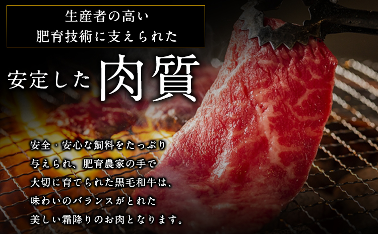 牛肉 【3ヶ月定期便】 【A5ランク】牛肉 くまもと黒毛 焼肉用 400g 黒毛和牛 長洲町L（桜屋）《お申込み月の翌月から出荷開始》---sn_f501kyktei_r7_61500_mo3num1---st-p