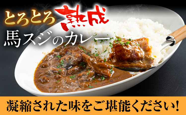 馬スジカレー 10食セット 馬肉 肉 馬スジ カレー《60日以内に出荷予定(土日祝除く)》株式会社千興ファーム 馬スジ カレー ---sn_fbsjikr_60d_25_16500_10set---