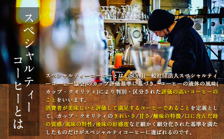 コーヒー スペシャルティー コーヒードリップバック 計12パック(4種×3パック)《30日以内に出荷予定(土日祝除く)》---sn_siphoncoffee_30d_22_12000_12p---st-p