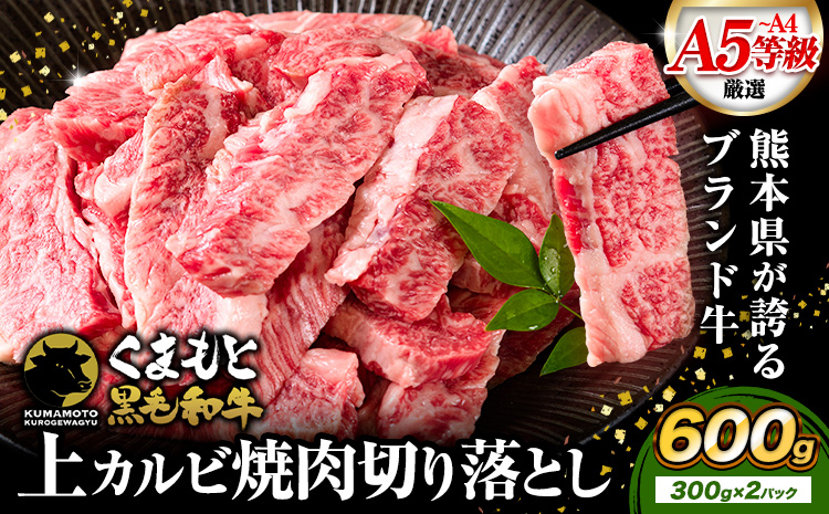牛肉 A4～A5等級 黒毛和牛 切り落とし くまもと黒毛和牛 上 カルビ 焼肉切り落とし 600g 《60日以内に出荷予定(土日祝除く)》熊本県 長洲町 上カルビ 焼肉用 焼肉 肉 お肉 和牛 A5 A4 300g 小分け---ng_fzyoukbyk_60d_r7_11000_600g---