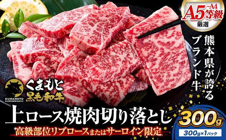 牛肉 A4～A5等級 黒毛和牛 切り落とし くまもと黒毛和牛 上 ロース 焼肉切り落とし 300g 《30日以内に出荷予定(土日祝除く)》熊本県 長洲町 上ロース 焼肉用 焼肉 肉 お肉 和牛 A5 A4 300g 小分け リブロース サーロイン---ng_fzyoursyk_30d_r7_10000_300g---