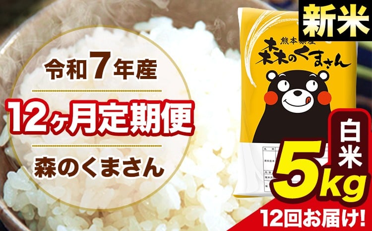 新米 令和7年産 森のくまさん 白米 5kg 5kg×1袋 計12回お届け 《お申込み翌月から出荷》 お米 こめ 熊本県産 ご飯 備蓄---mk7tei_150000_5kg_mo12_ng_h---