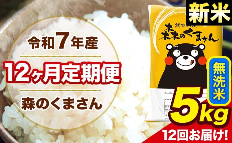  新米 令和7年産 森のくまさん 無洗米 5kg 5kg×1袋 計12回お届け 《お申込み翌月から出荷》 お米 こめ 熊本県産 ご飯 備蓄---mk7tei_150000_5kg_mo12_ng_m---