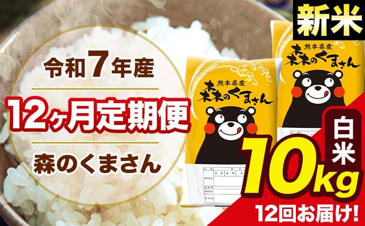 新米 令和7年産 森のくまさん 白米 10kg 5kg×2袋 計12回お届け 《お申込み翌月から出荷》 お米 こめ 熊本県産 ご飯 備蓄---mk7tei_294000_10kg_mo12_ng_h---