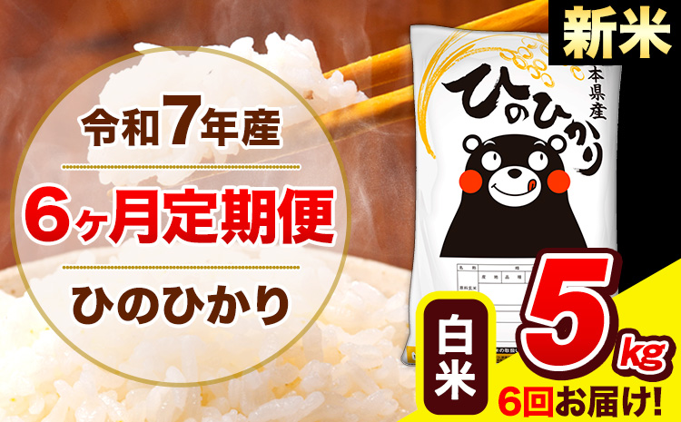 新米 令和7年産 ひのひかり【6ヶ月定期便】白米  5kg (5kg×1袋) 計6回お届け 《お申込み翌月から出荷》 熊本県産 白米 精米 ひの 米 こめ お米 熊本県 長洲町---hn7tei_75000_5kg_mo6_ng_h---