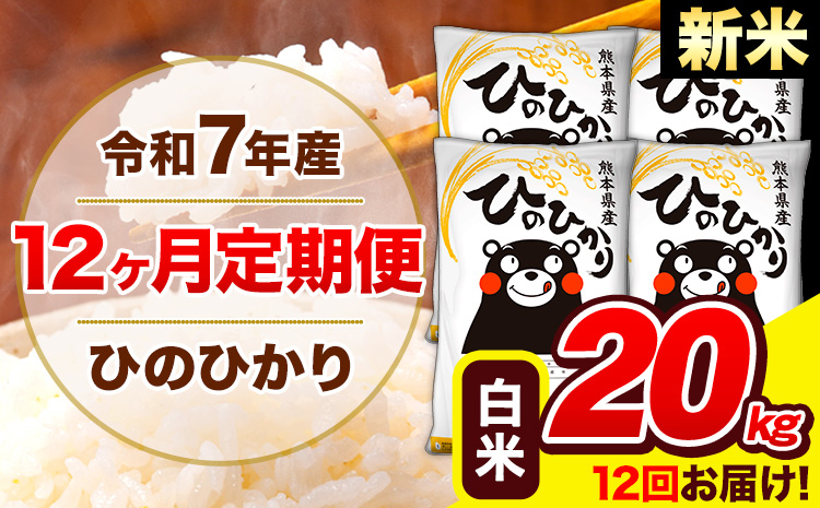 新米 令和7年産 ひのひかり【12ヶ月定期便】白米  20kg (5kg×4袋) 計12回お届け 《お申込み翌月から出荷》 熊本県産 白米 精米 ひの 米 こめ お米 熊本県 長洲町---hn7tei_582000_20kg_mo12_ng_h---