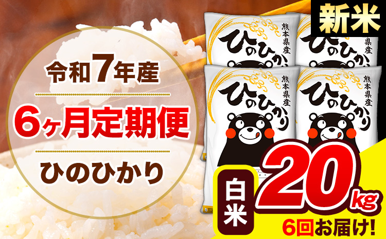 新米 令和7年産 ひのひかり【6ヶ月定期便】白米  20kg (5kg×4袋) 計6回お届け 《お申込み翌月から出荷》 熊本県産 白米 精米 ひの 米 こめ お米 熊本県 長洲町---hn7tei_291000_20kg_mo6_ng_h---