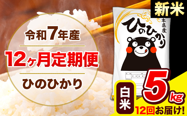 新米 令和7年産 ひのひかり【12ヶ月定期便】白米  5kg (5kg×1袋) 計12回お届け 《お申込み翌月から出荷》 熊本県産 白米 精米 ひの 米 こめ お米 熊本県 長洲町---hn7tei_150000_5kg_mo12_ng_h---