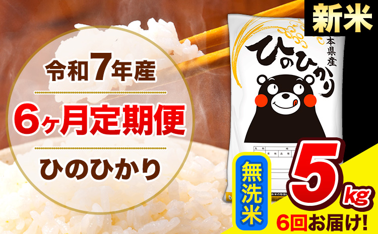 新米 令和7年産 ひのひかり【6ヶ月定期便】無洗米  5kg (5kg×1袋) 計6回お届け 《お申込み翌月から出荷》 熊本県産 無洗米 精米 ひの 米 こめ お米 熊本県 長洲町---hn7tei_75000_5kg_mo6_ng_m---