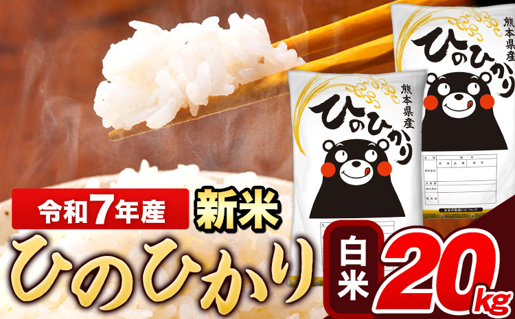 新米 令和7年産 ひのひかり 白米 20kg(5kg×4袋)《7-14日以内に出荷予定(土日祝除く)》 熊本県産 米---ng_hn7_wx_48500_20kg_h---
